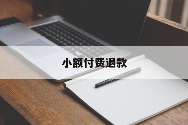 小额付费退款(小额退款什么意思)